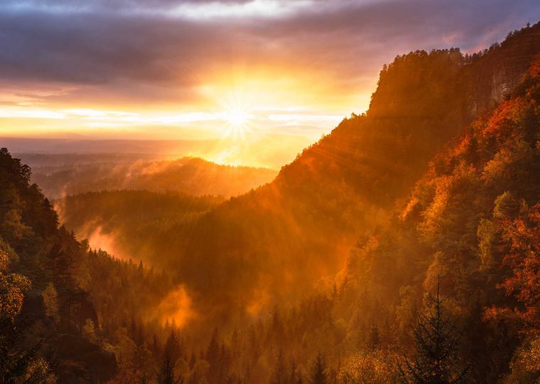 artem-sapegin-229391-unsplash