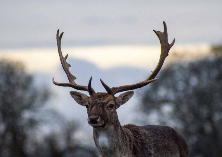 philip-swinburn-60220-unsplash