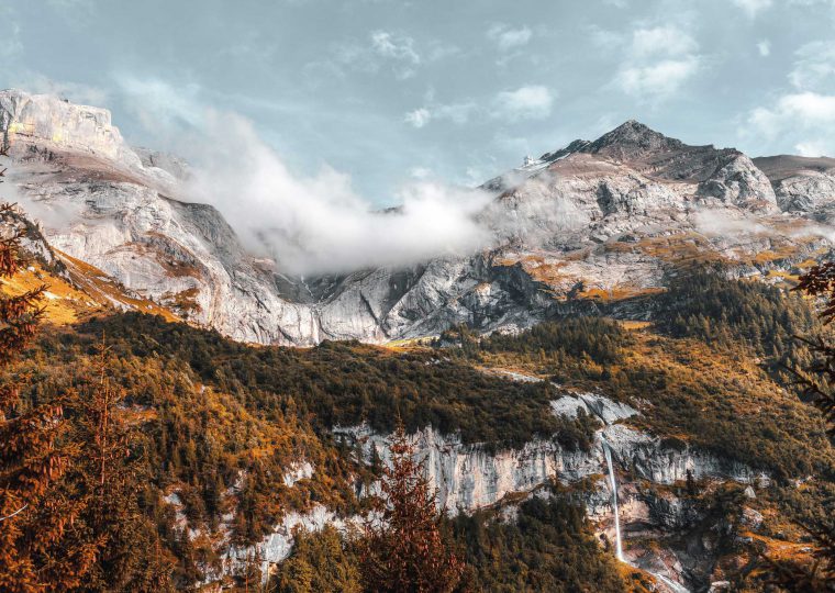 florian-van-duyn-325222-unsplash